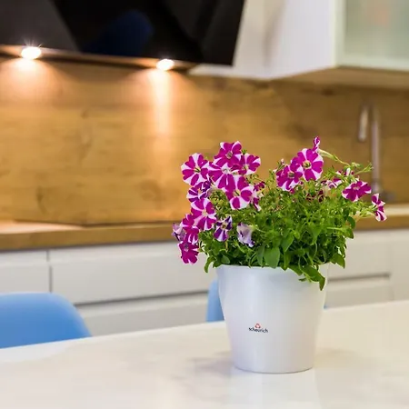 Cozy And Modern 4 شقة كاستاف